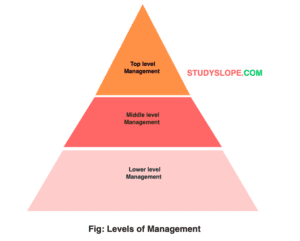 levels of Management