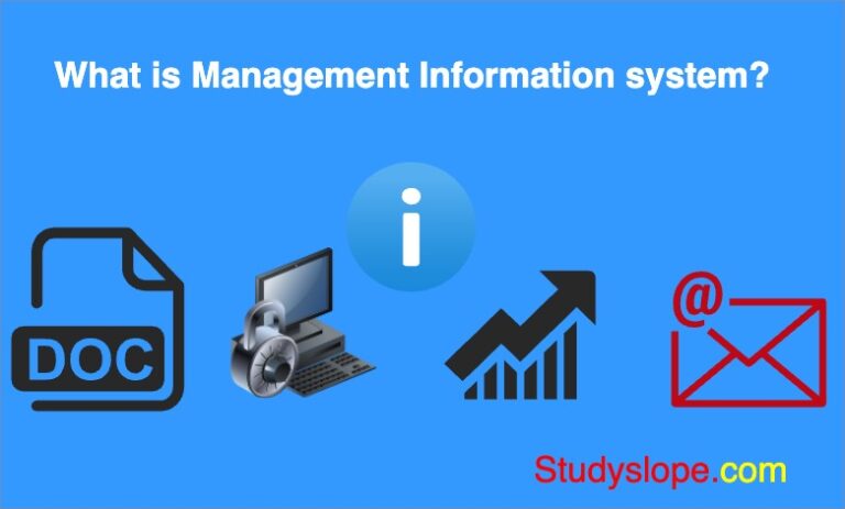 what-is-management-information-system