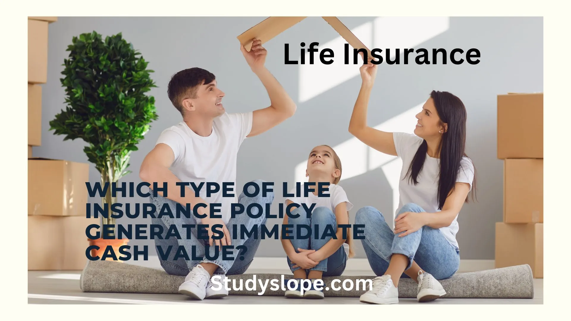 Life insurance policy that generates immediate cash