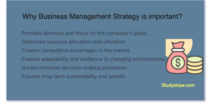 Why Business Management Strategy is important?