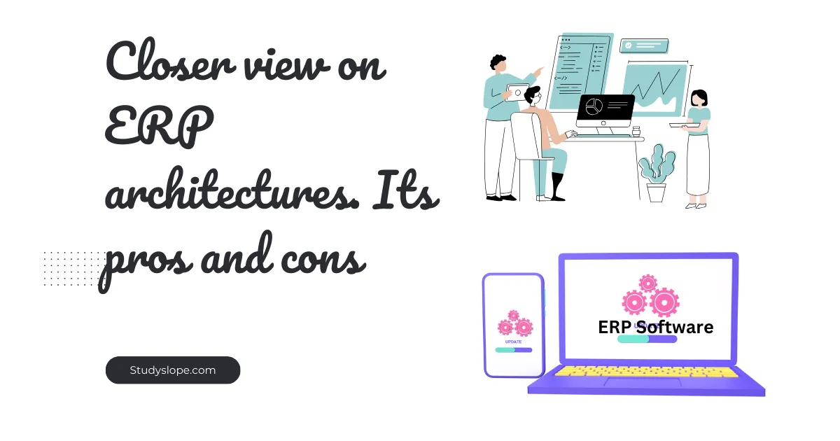 Closer view on ERP architectures. Its pros and cons